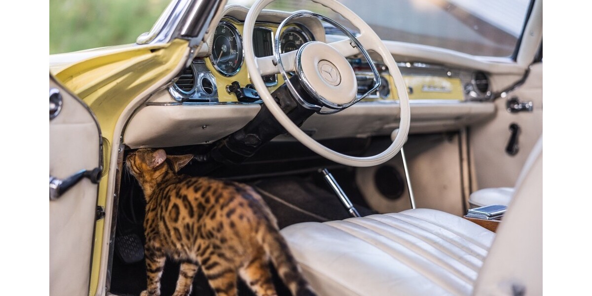 Mercedes-Benz 230SL 17.800 km 110.000 &euro; Oberursel (Taunus) 61440