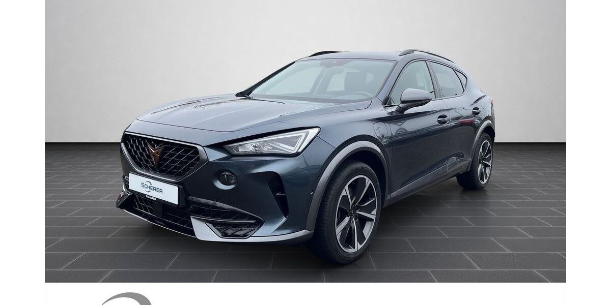 Cupra Formentor 30.776 km 23.280 &euro; Mainz 55129