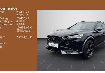 Cupra Formentor 44.378 km 25.480 &euro; Mainz 55129