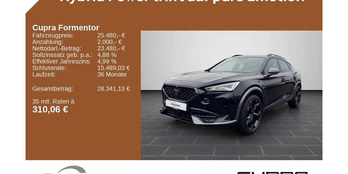 Cupra Formentor 44.378 km 25.480 &euro; Mainz 55129