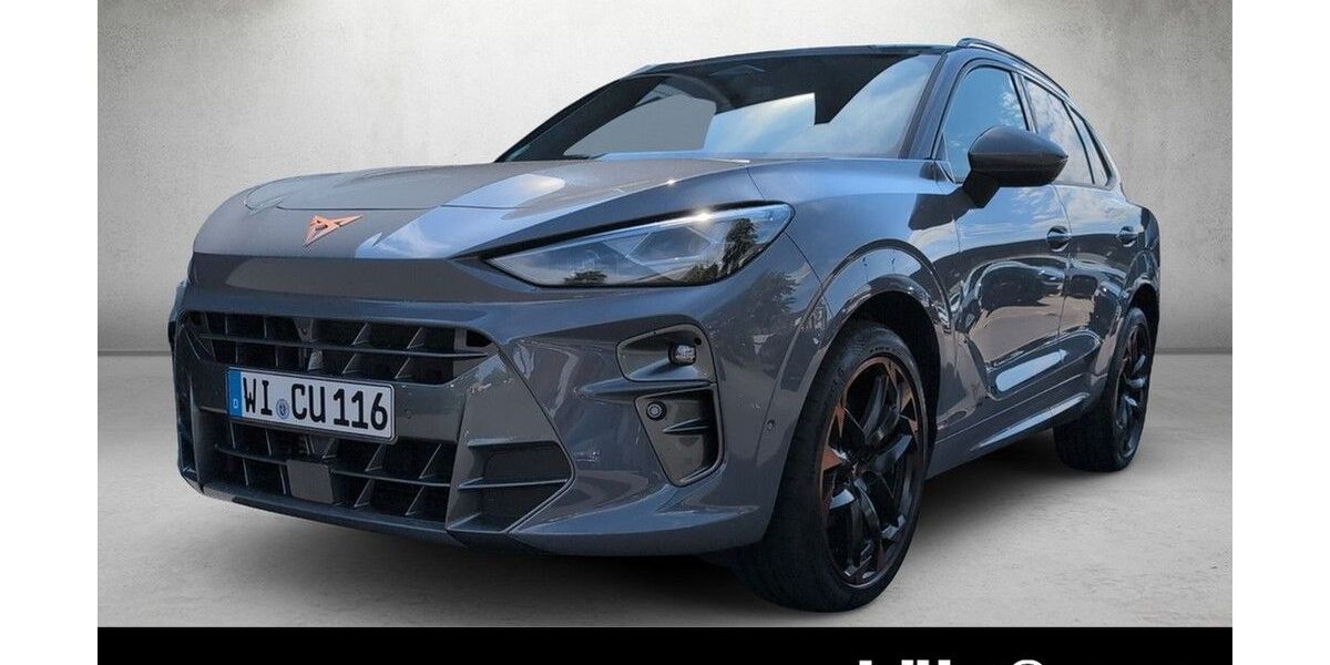 Cupra Terramar 9.999 km 43.990 &euro; Wiesbaden 65189