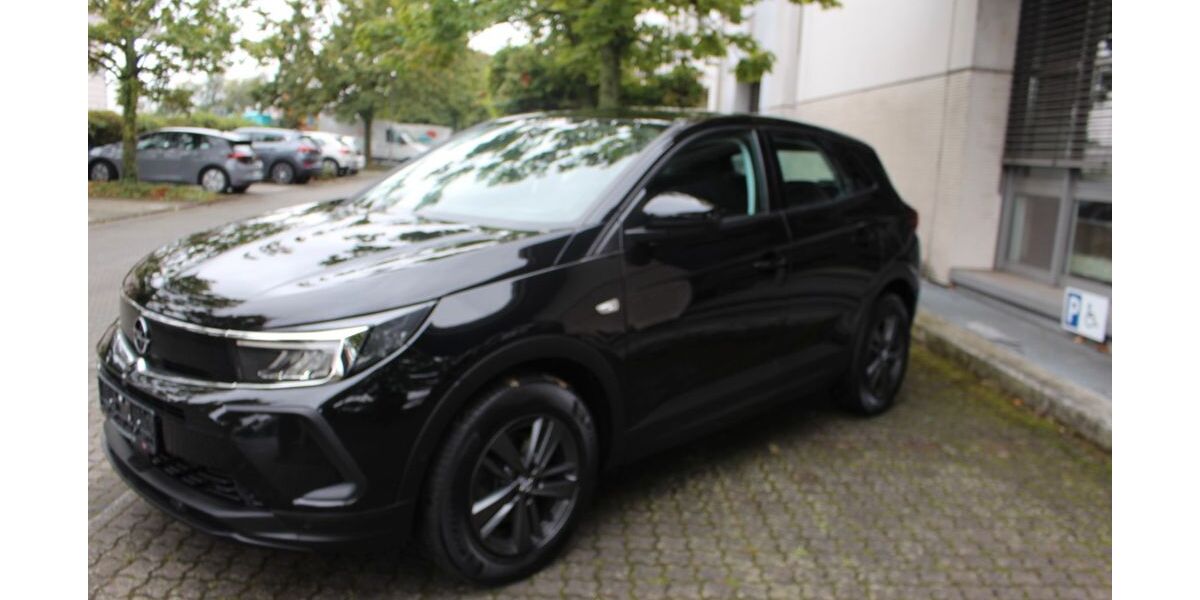Opel Grandland (X) 96.000 km 19.700 &euro; Rüsselsheim 65428