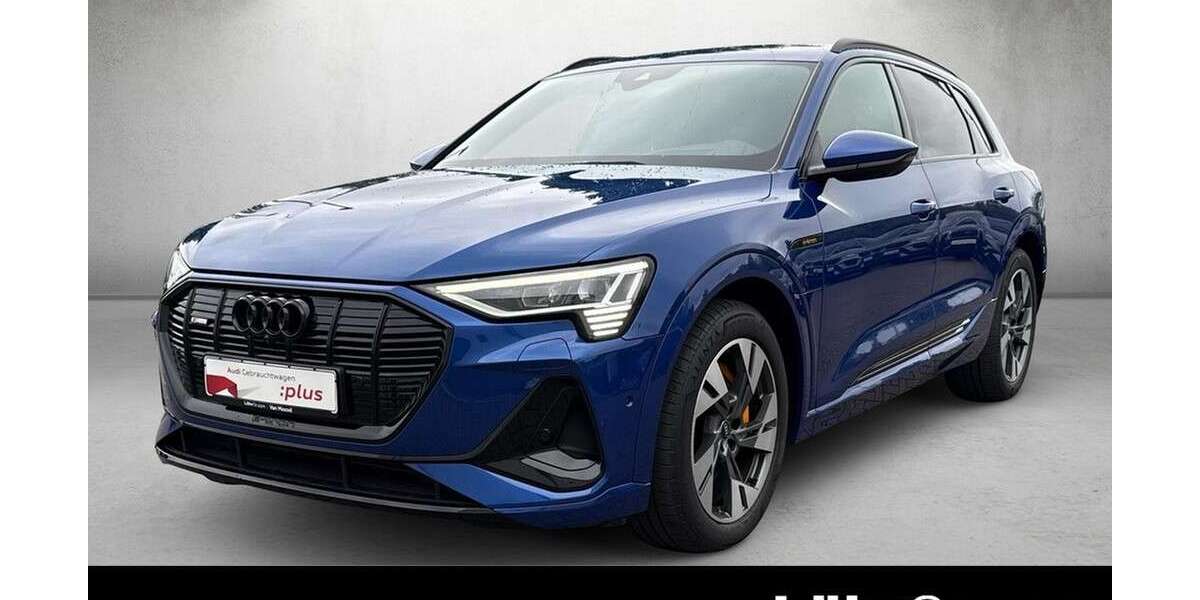 Audi e-tron 62.224 km 40.880 &euro; Mainz 55131