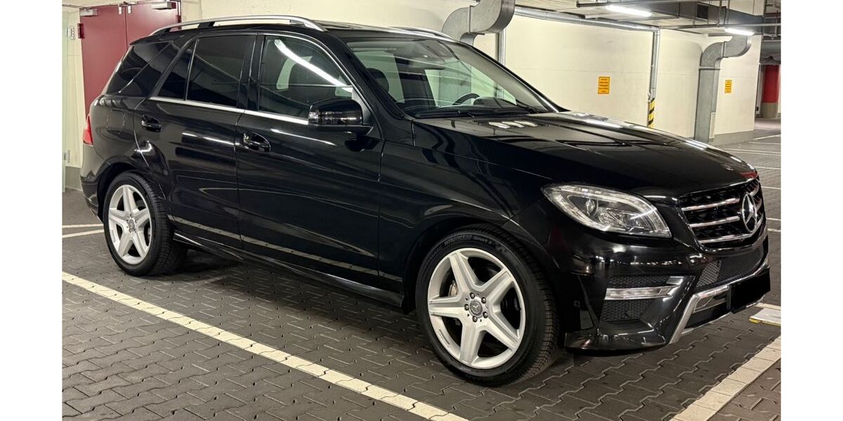 Mercedes-Benz ML 350 199.855 km 17.500 &euro; Mainz 55129