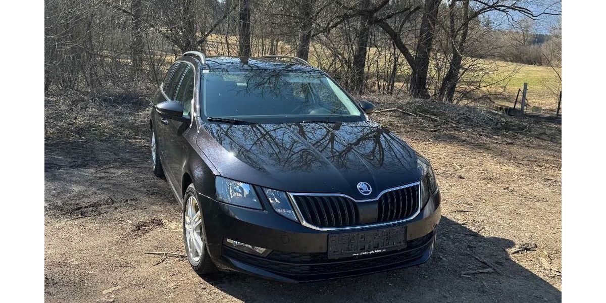 Skoda Octavia 320.000 km 3.950 &euro; Idstein 65510