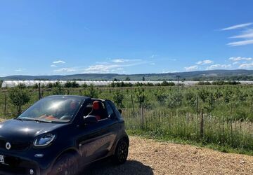 Smart ForTwo 21.000 km 17.000 &euro; Wiesbaden 65195