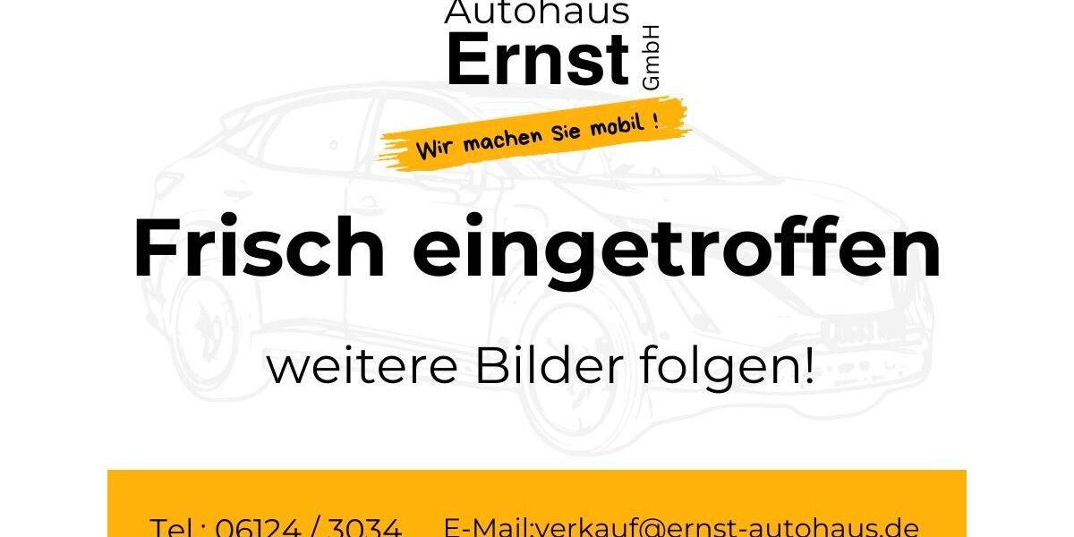 Opel Movano 125.000 km 12.000 &euro; Bad Schwalbach 65307