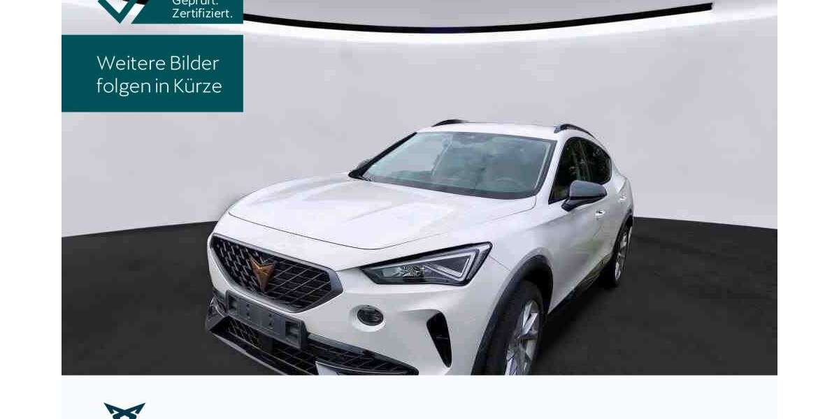 Cupra Formentor 48.266 km 23.840 &euro; Hofheim 65719