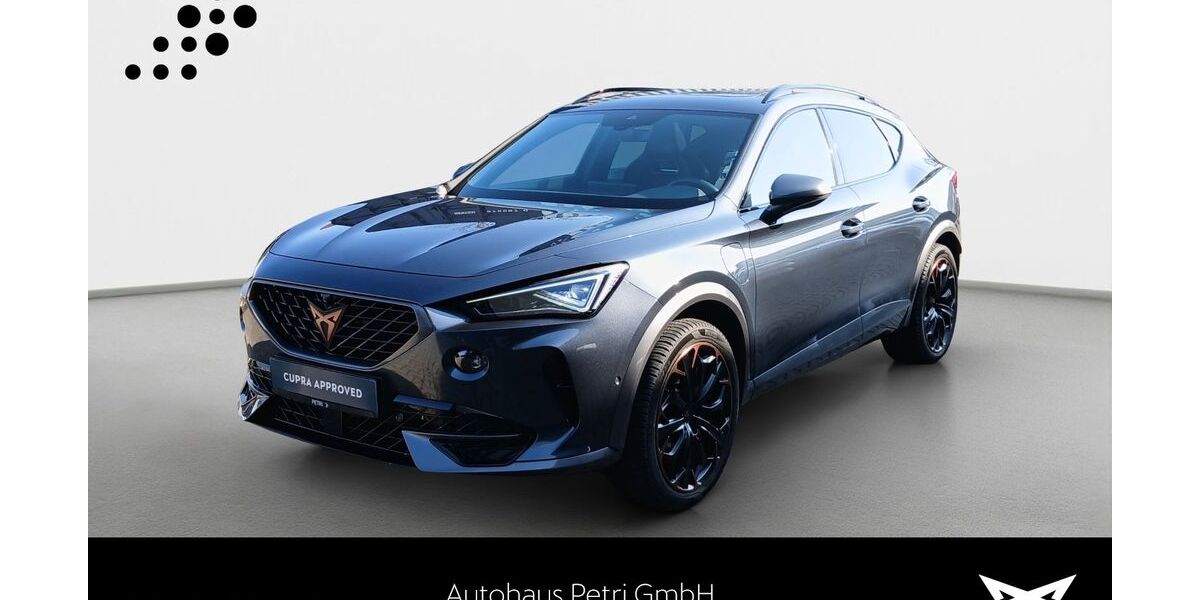 Cupra Formentor 50.947 km 28.980 &euro; Hofheim-Diedenbergen 65719