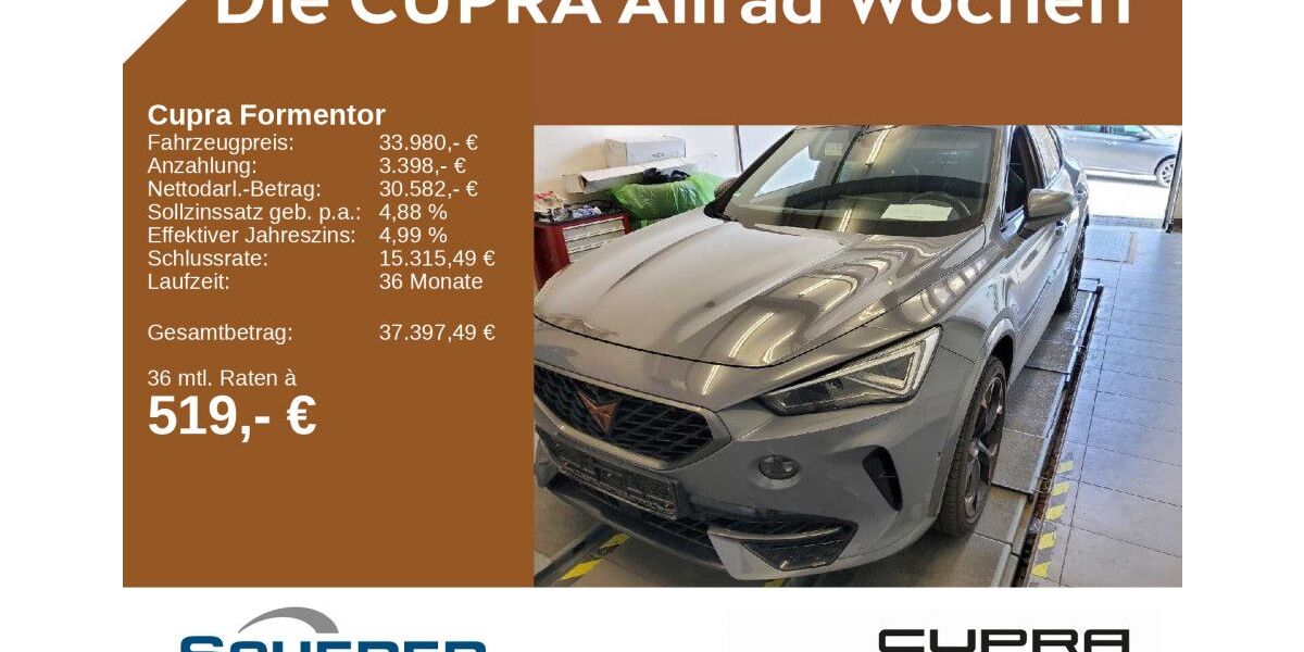 Cupra Formentor 65.948 km 33.980 &euro; Mainz 55129