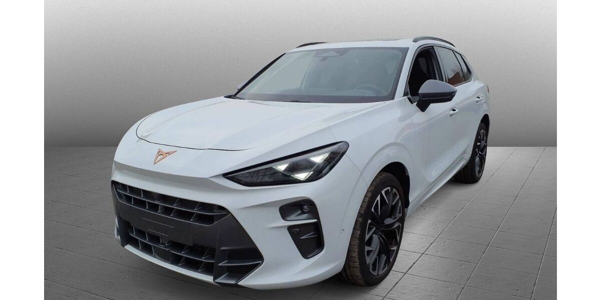 Cupra Terramar 11.000 km 39.980 &euro; Bad Camberg 65520