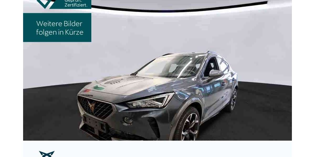 Cupra Formentor 50.095 km 26.390 &euro; Hofheim 65719