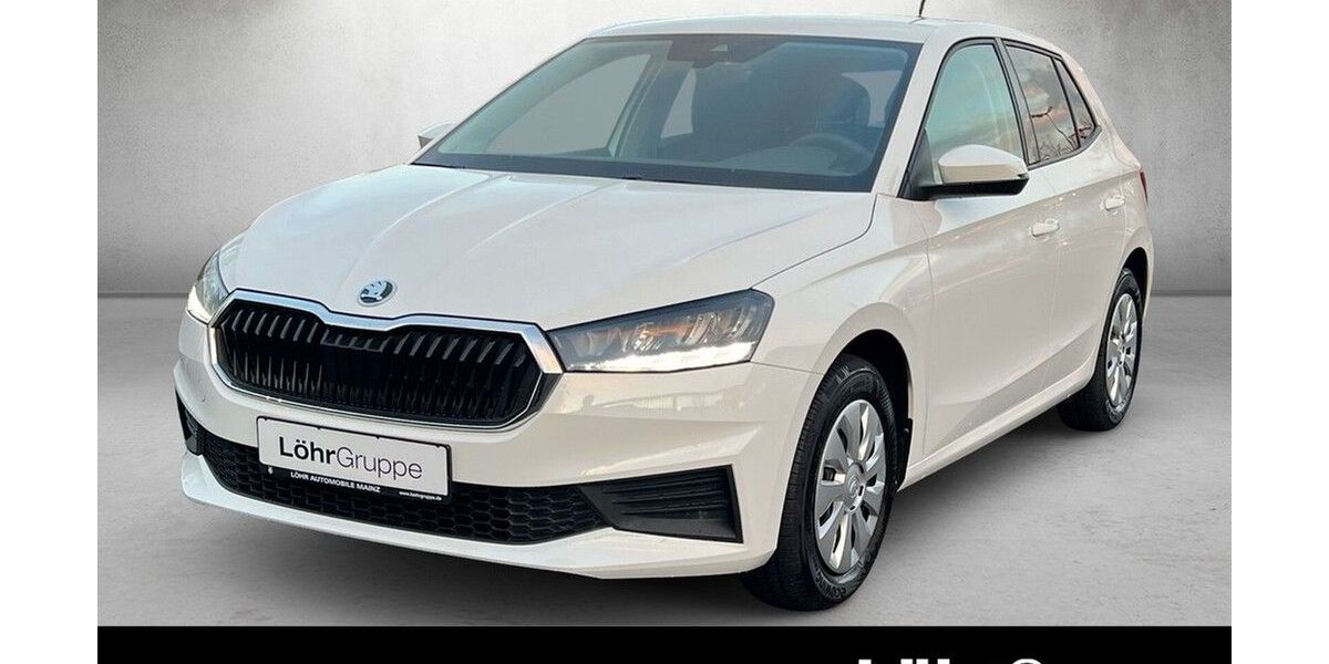Skoda Fabia 13.439 km 15.880 &euro; Mainz 55120