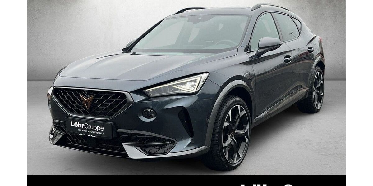 Cupra Formentor 18.222 km 34.380 &euro; Mainz 55120