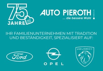 Ford Tourneo Custom 20.185 km 41.850 &euro; Bingen 55411