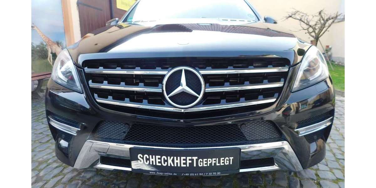 Mercedes-Benz ML 350 182.100 km 19.990 &euro; Groß-Gerau 64521