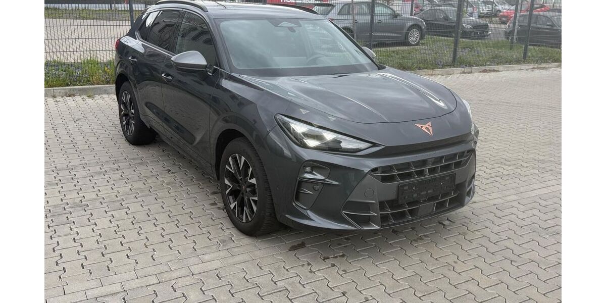 Cupra Terramar 26.700 km 30.490 &euro; Mainz -Kastel 55252